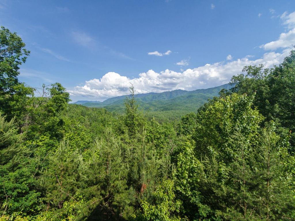 Villa Dreamscapes à Gatlinburg Extérieur photo